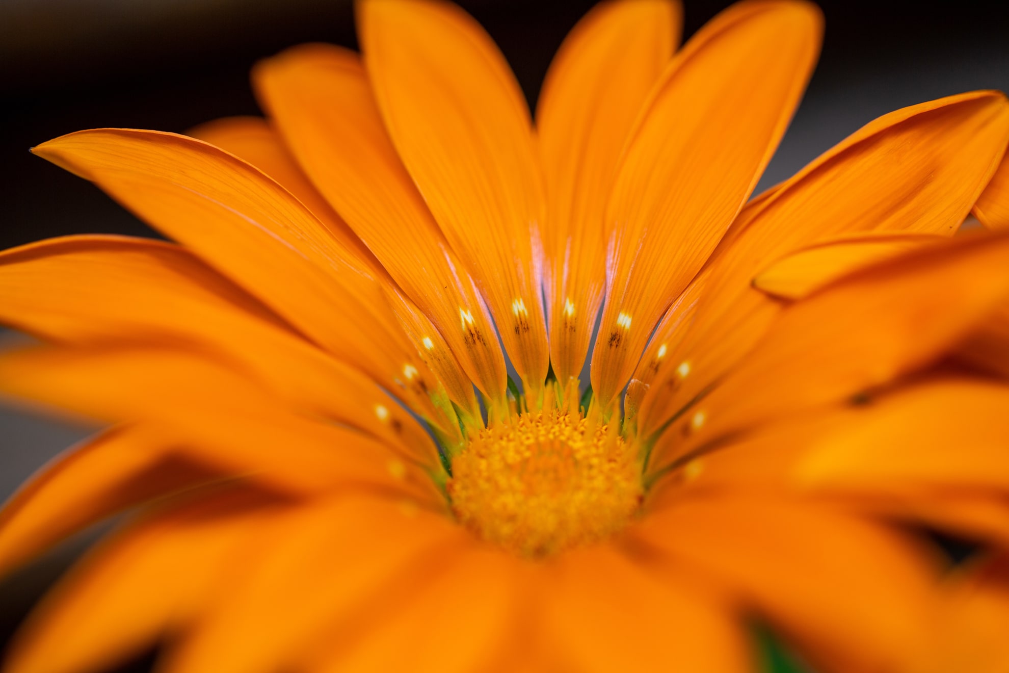 Erste Schritte mit Moodle